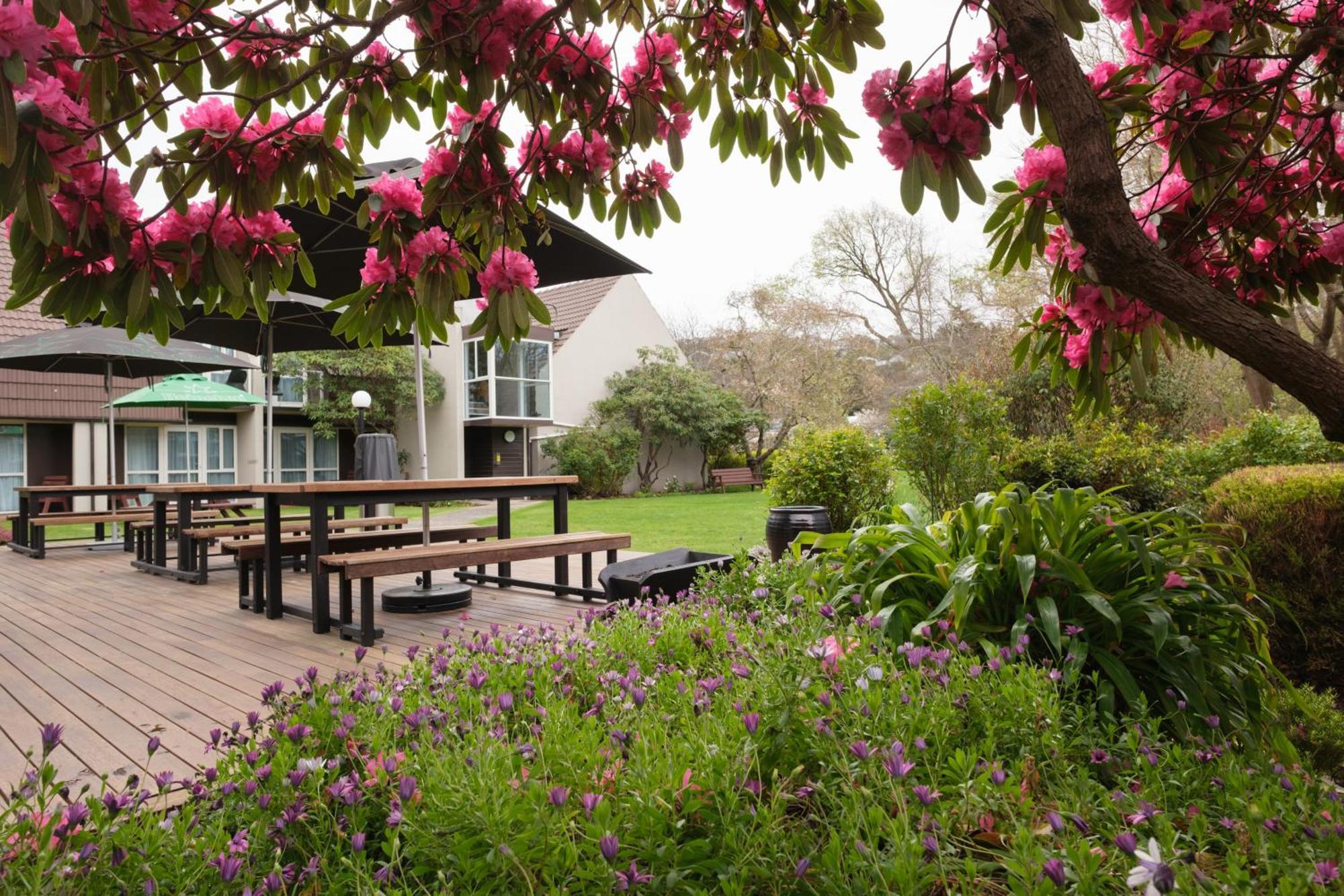 Dunedin Leisure Lodge - Distinction Exterior photo